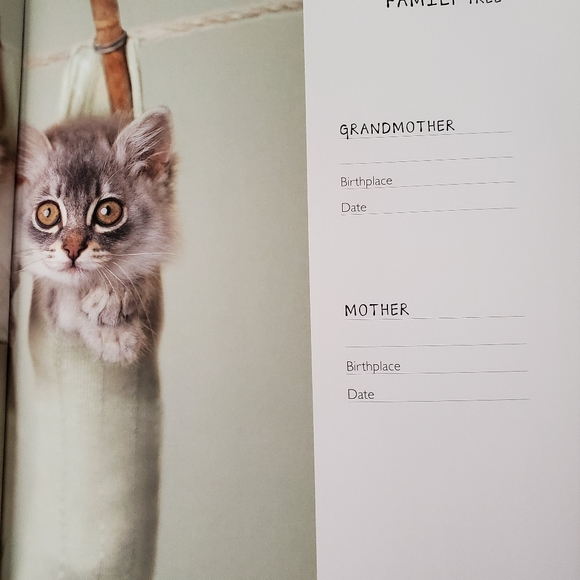 NWOTs ~ My Cat Record Book ~ - Picture 12 of 14